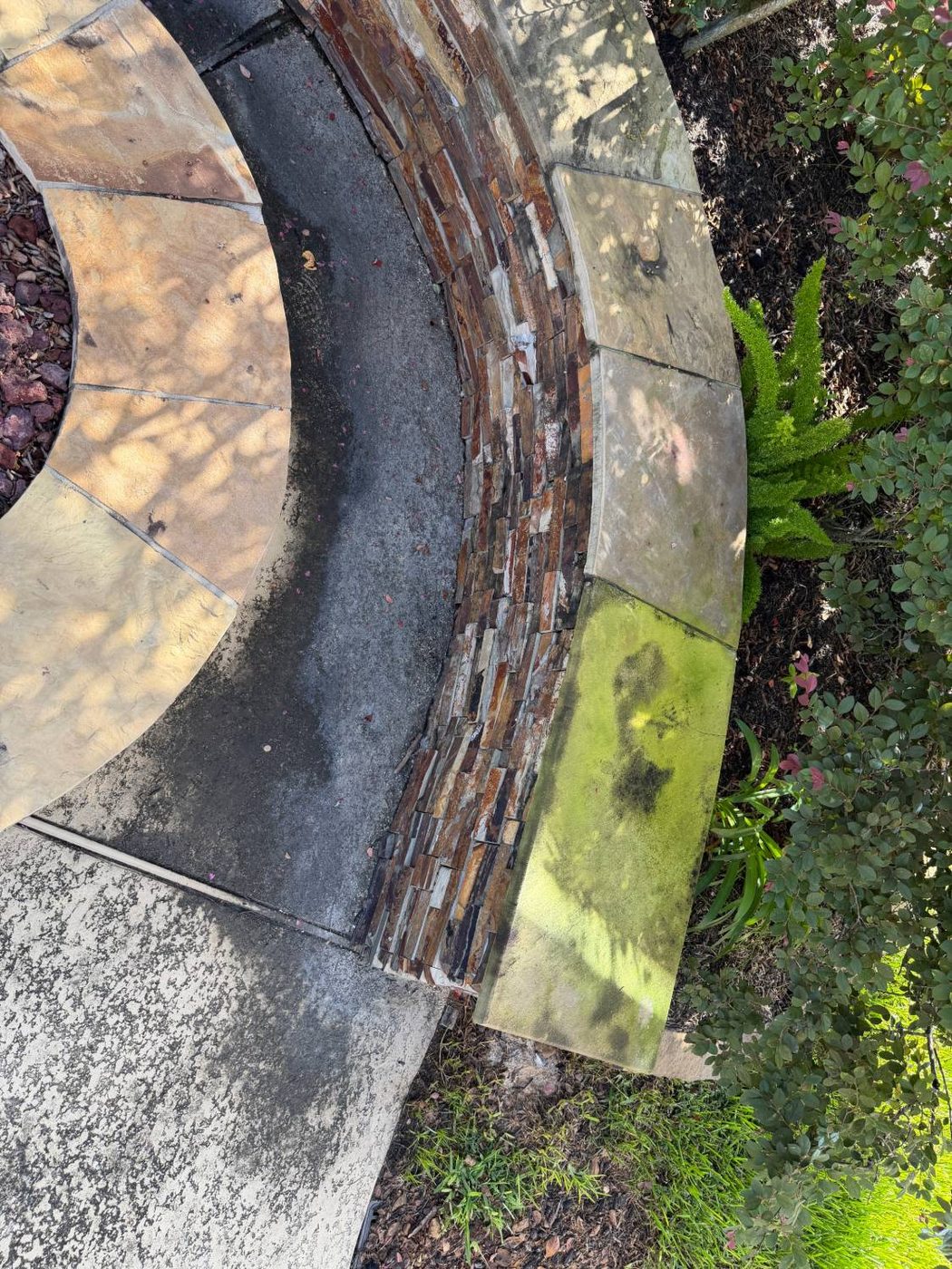 Stone fire pit seating covered in green algae